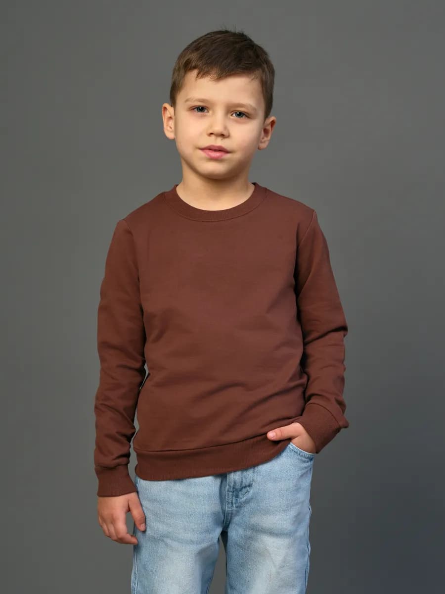 Толстовка свитшот без начеса