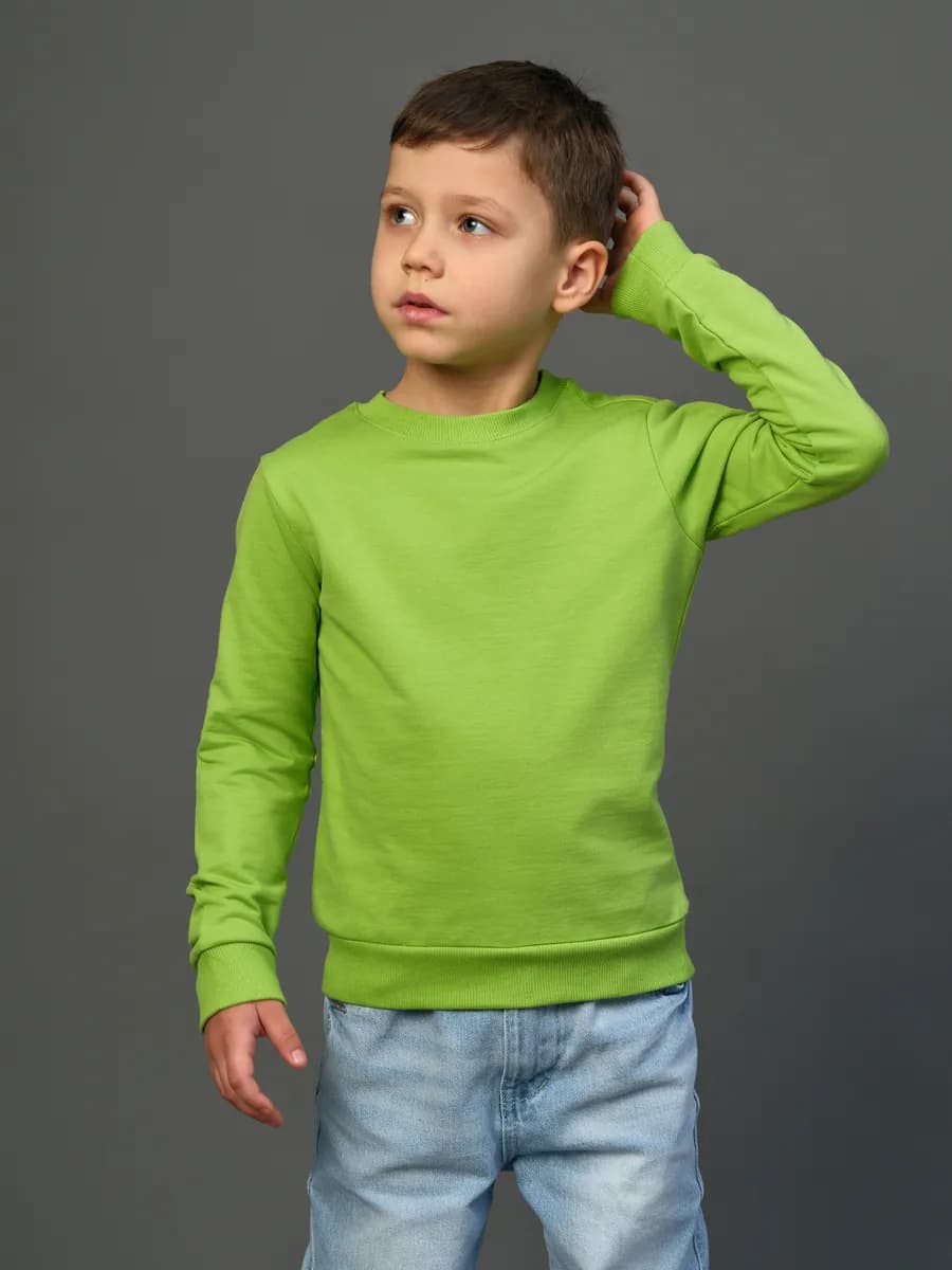 Толстовка свитшот без начеса - фото 1