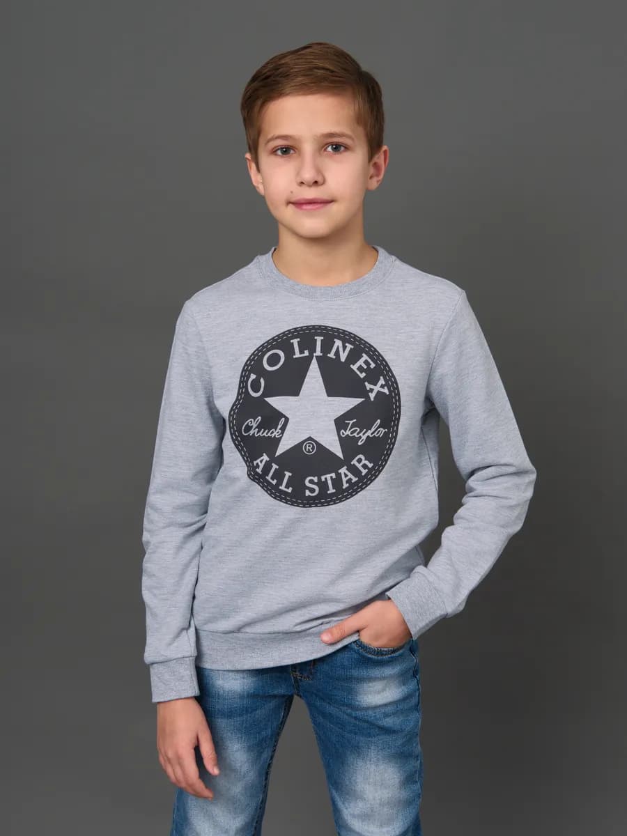 Толстовка свитшот без начеса с принтом - фото 1