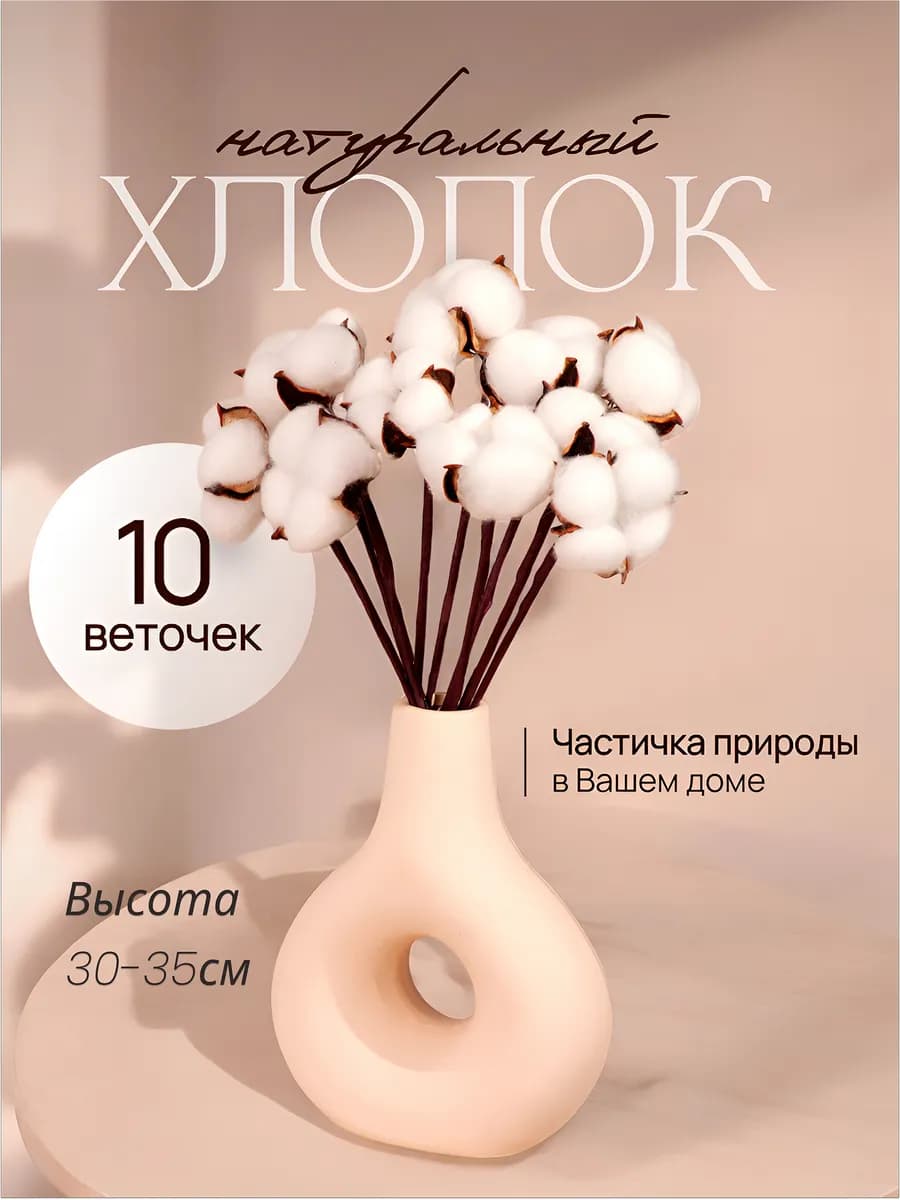 Хлопок сухоцвет для декора 10 шт белый