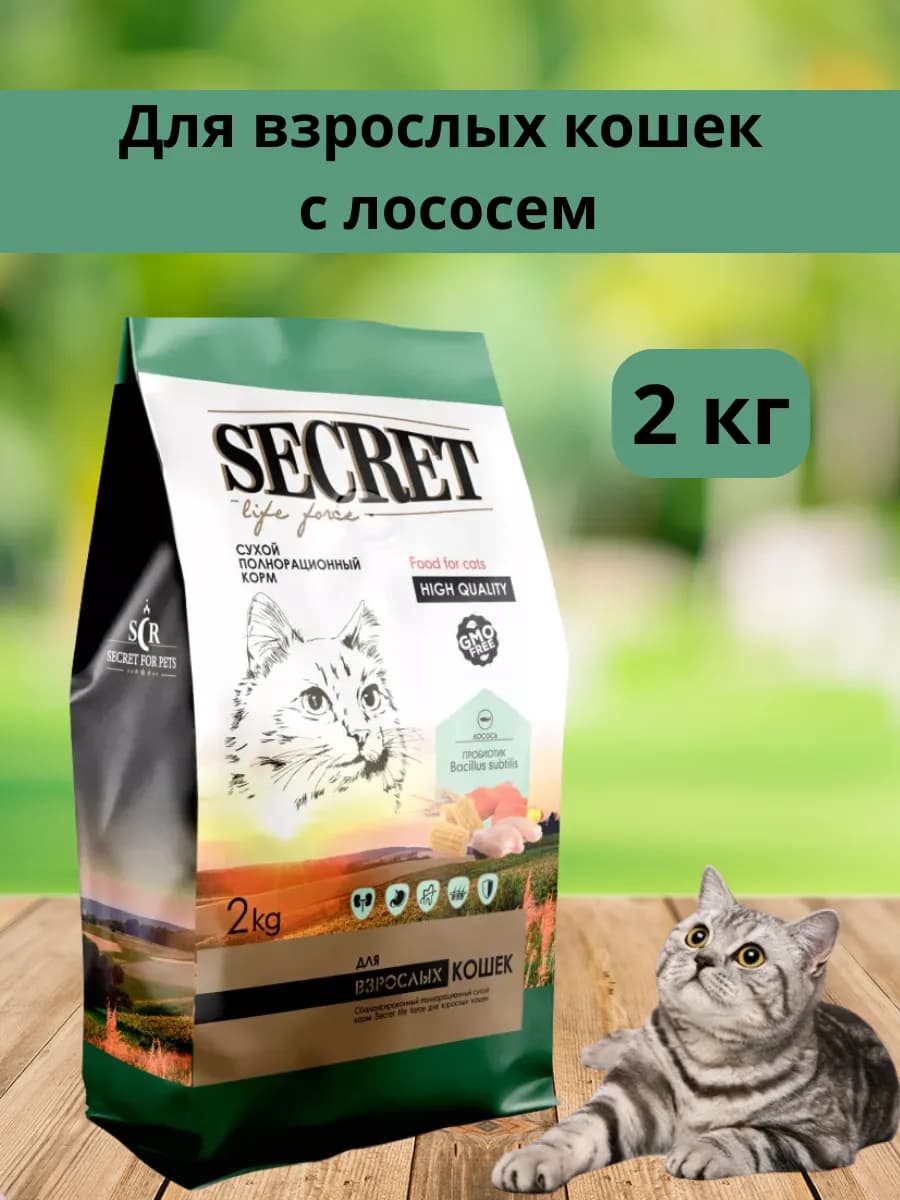 Корм для кошек сухой с лососем 2 кг - фото 1