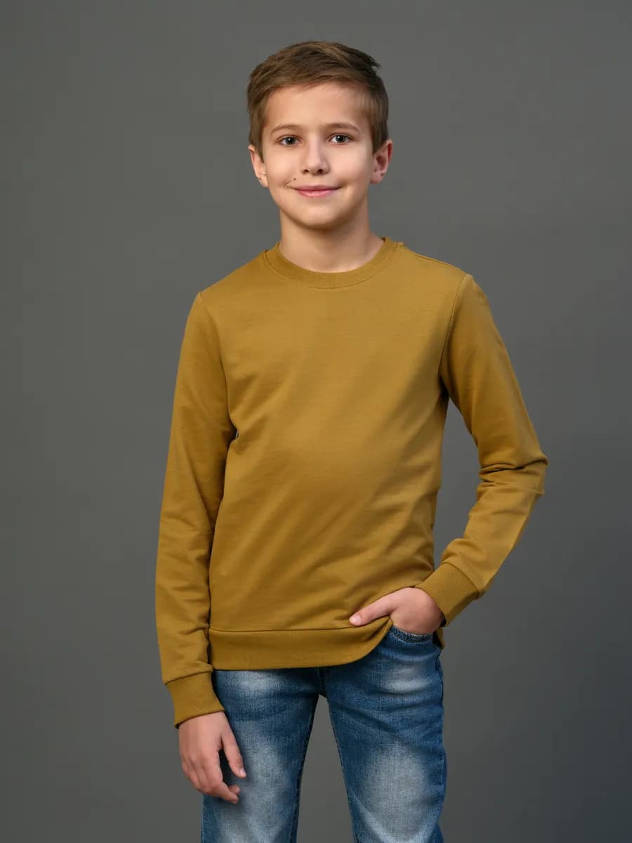 Толстовка свитшот без начеса