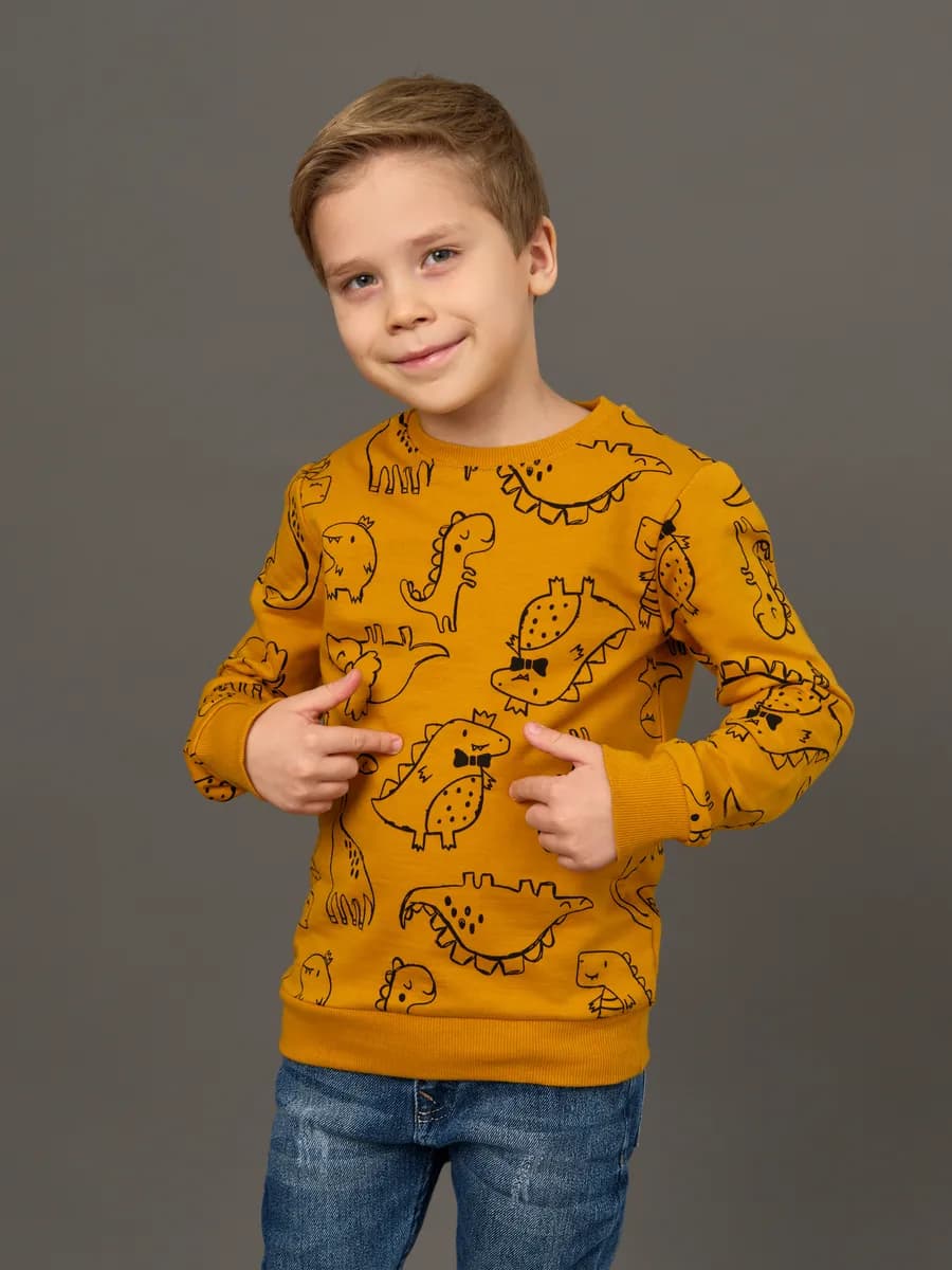 Толстовка свитшот без начеса с принтом