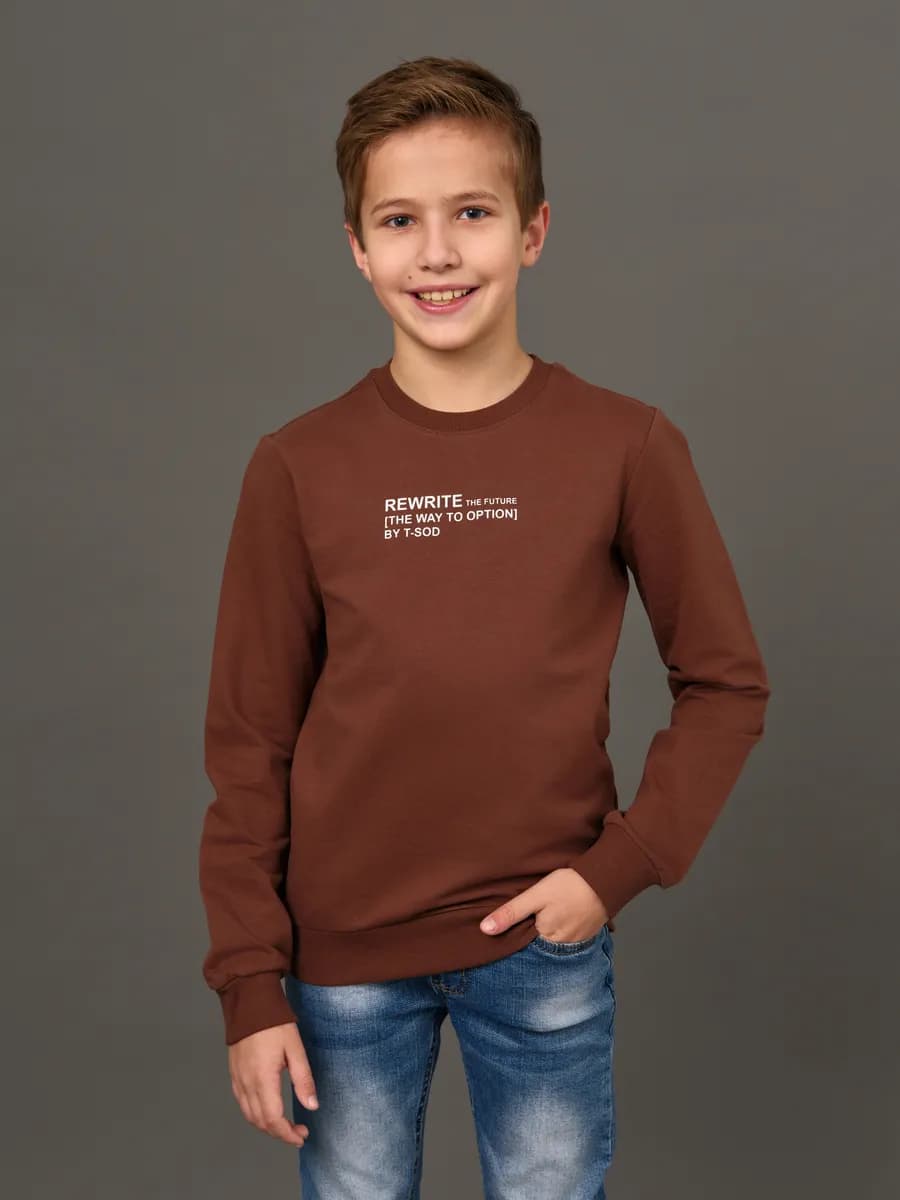 Толстовка свитшот без начеса с принтом