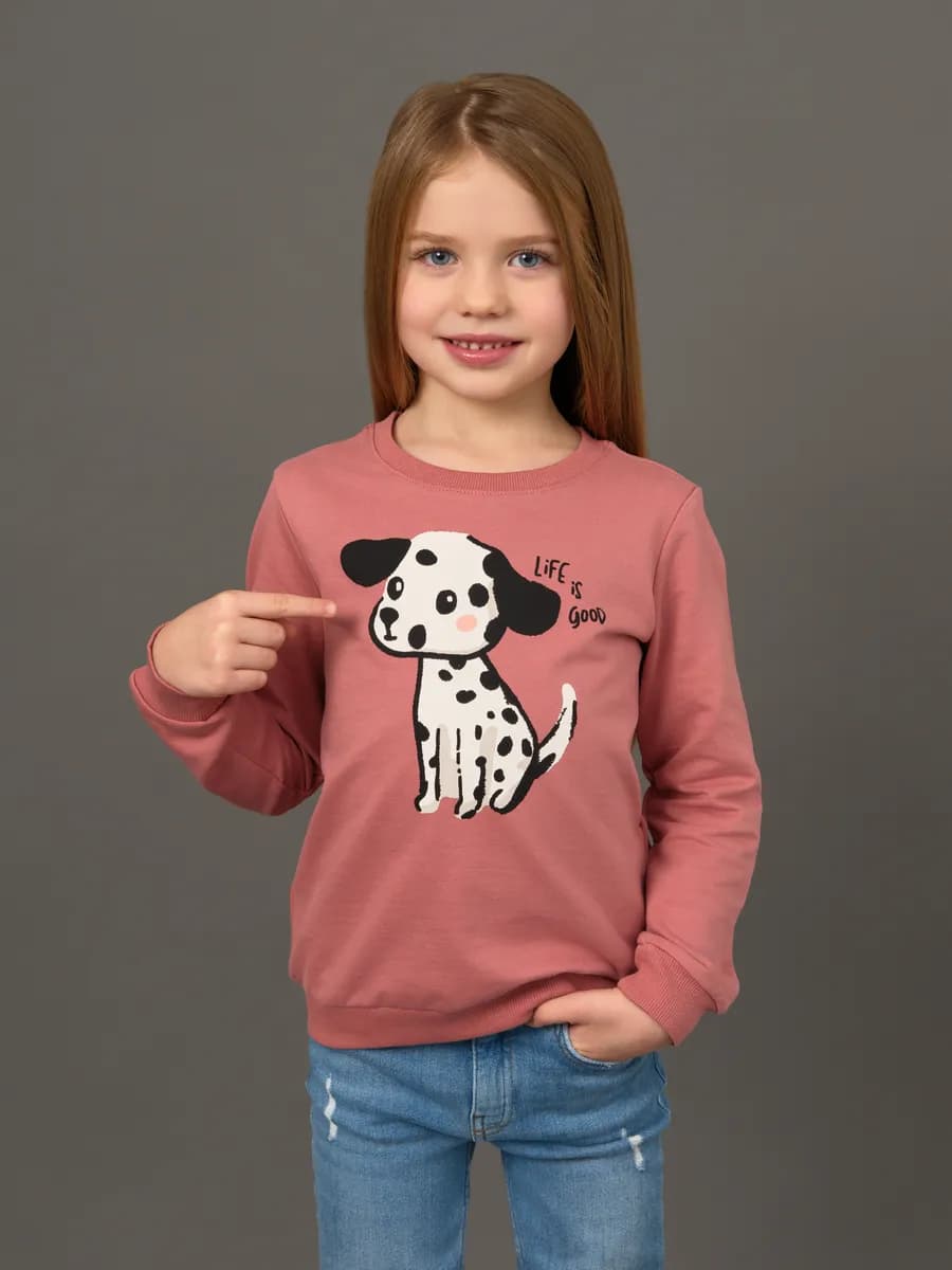 Толстовка свитшот без начеса с принтом