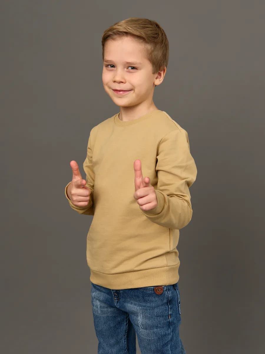 Толстовка свитшот без начеса