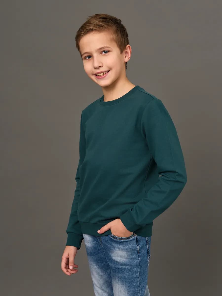 Толстовка свитшот без начеса