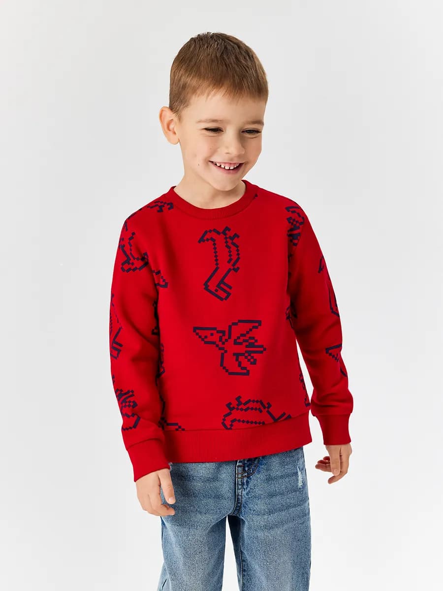 Красный свитшот динозавры с начёсом для малышей