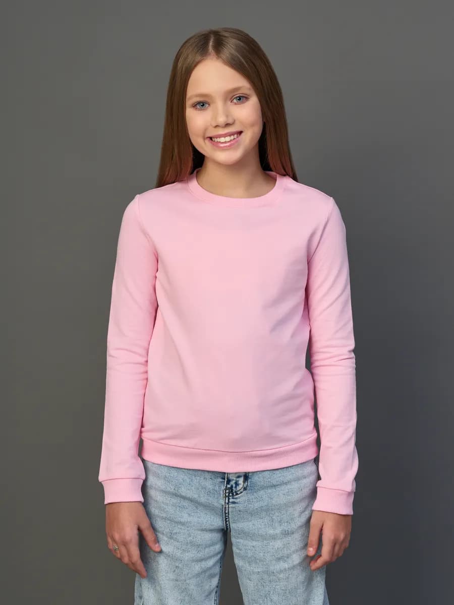 Толстовка свитшот без начеса