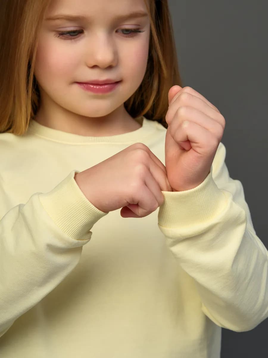 Толстовка свитшот без начеса