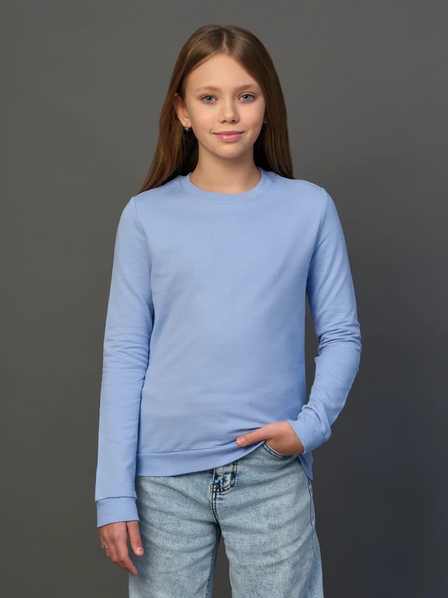 Толстовка свитшот без начеса