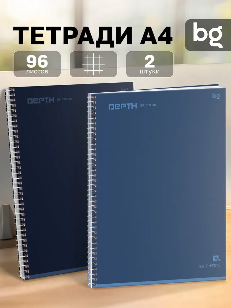 Тетрадь А4 в клетку 96 листов 2 штуки на пружине