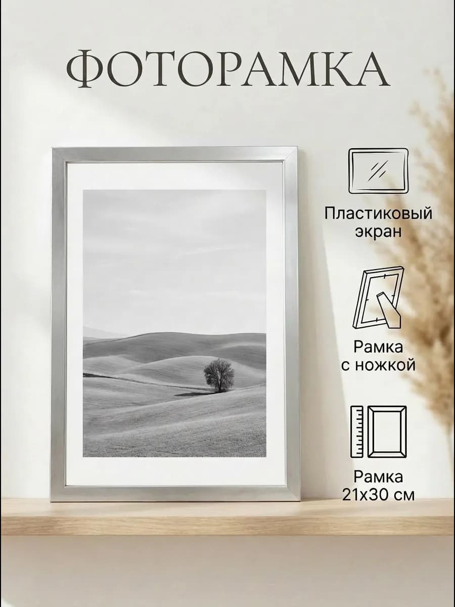 Фоторамка пластик "Формат" серебро матовое 21x30 см