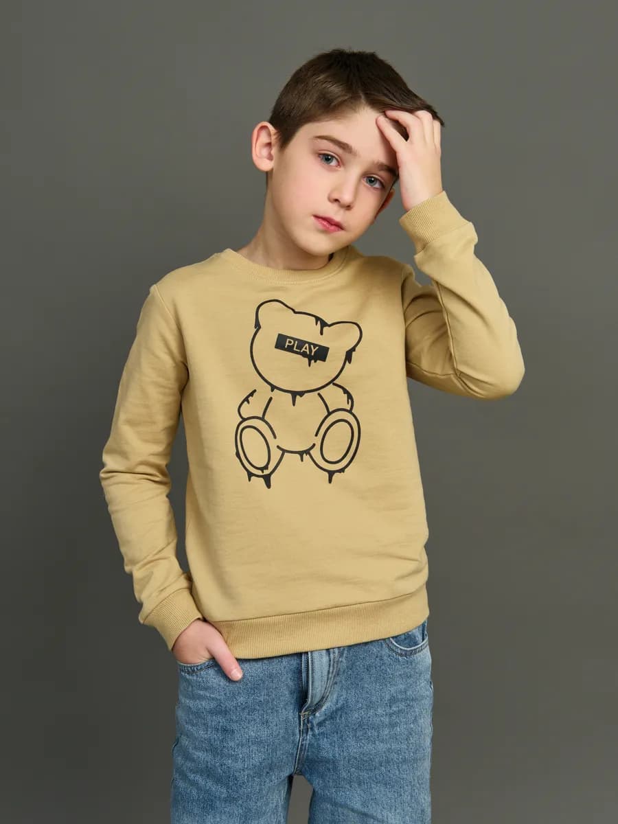 Толстовка свитшот без начеса с принтом