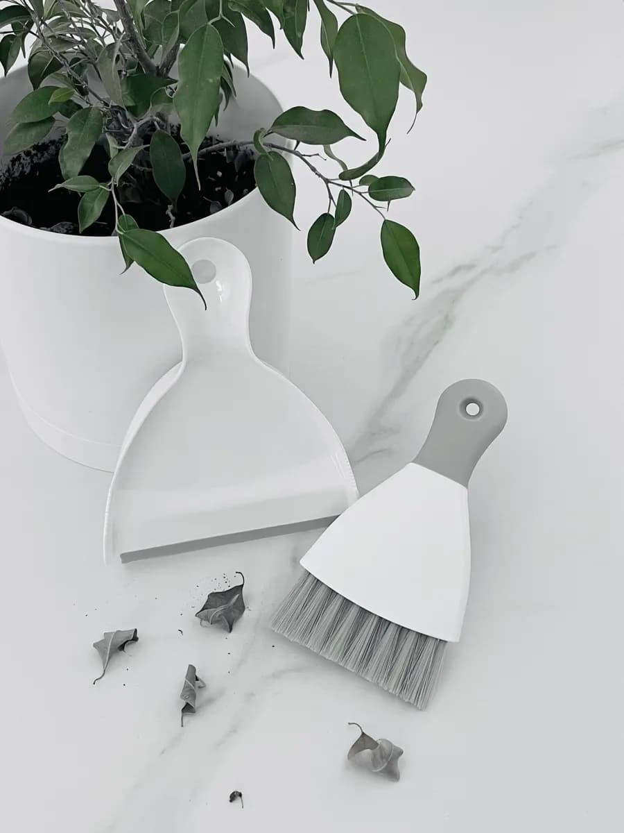 Щетка с совком для уборки (маленькая)