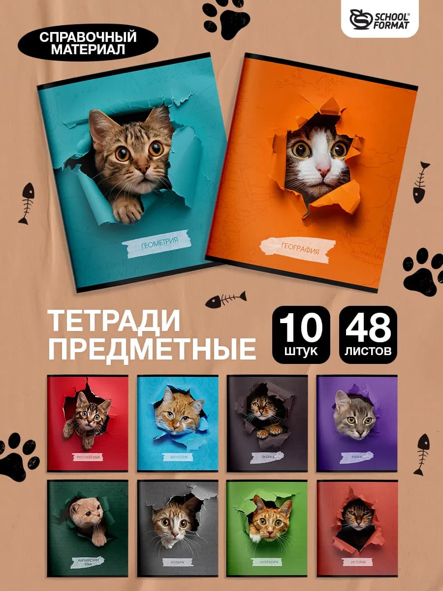 Предметные тетради 48 листов набор 10 штук