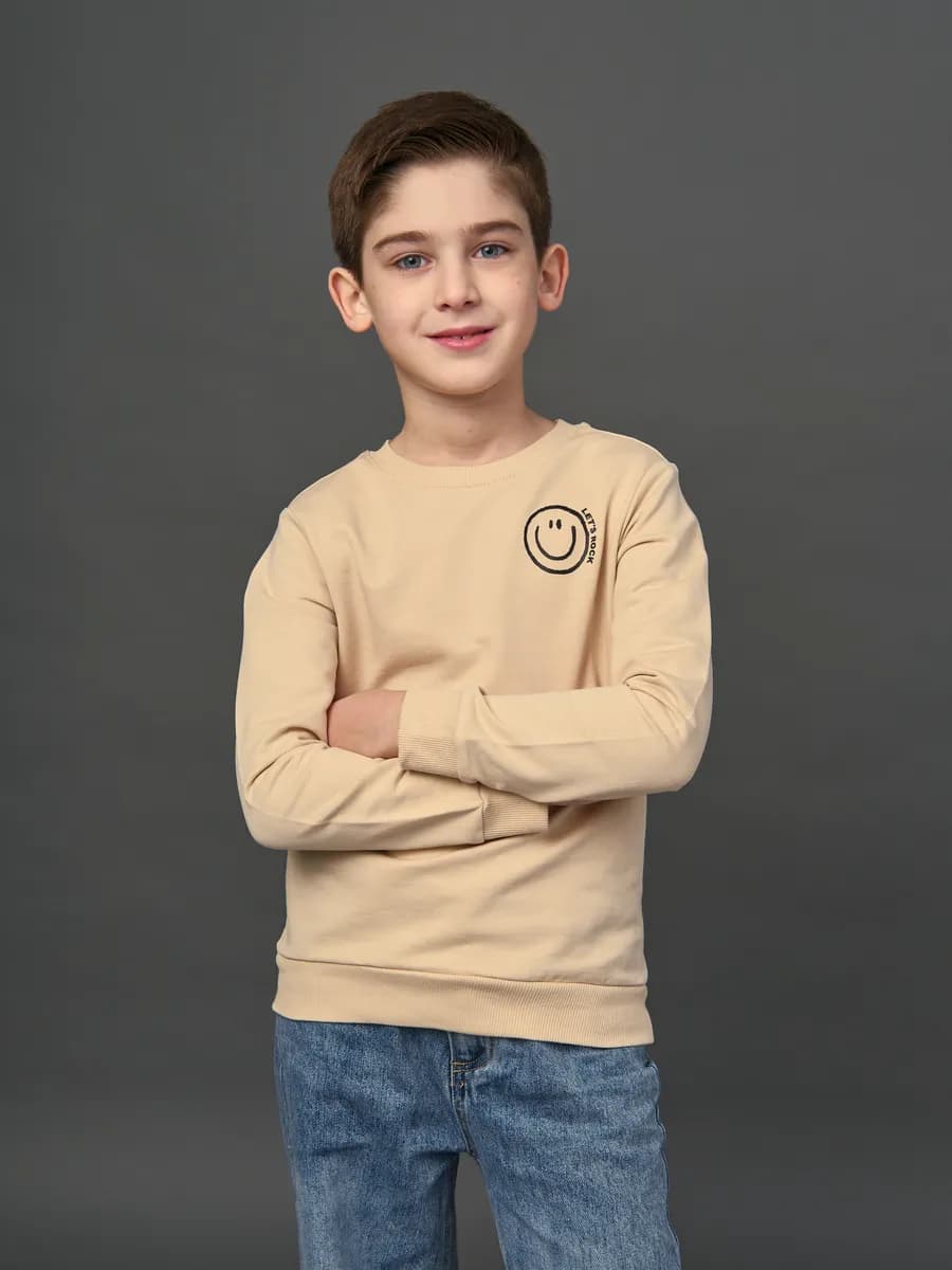 Толстовка свитшот без начеса с принтом