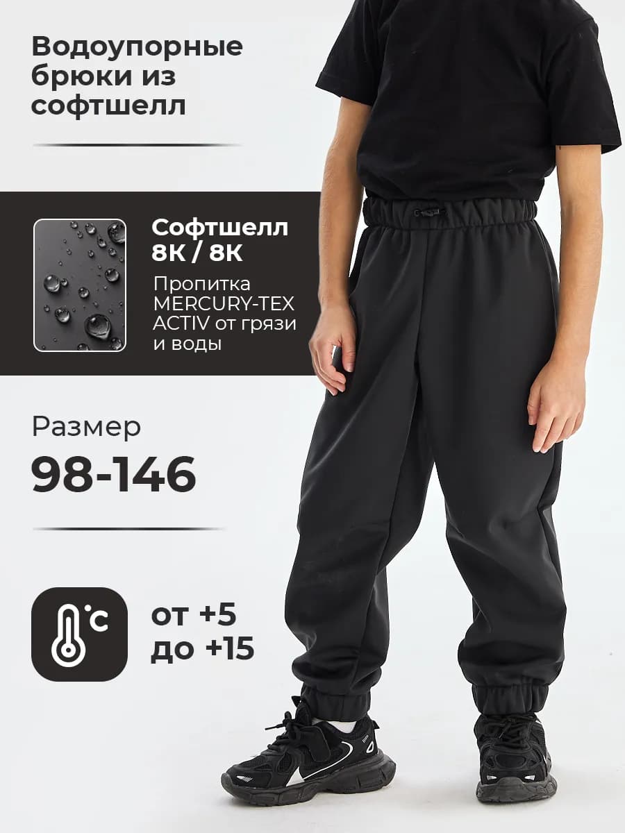Брюки демисезонные софтшелл