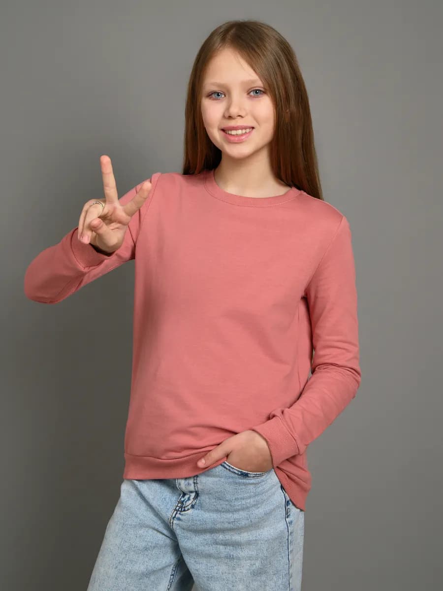 Толстовка свитшот без начеса