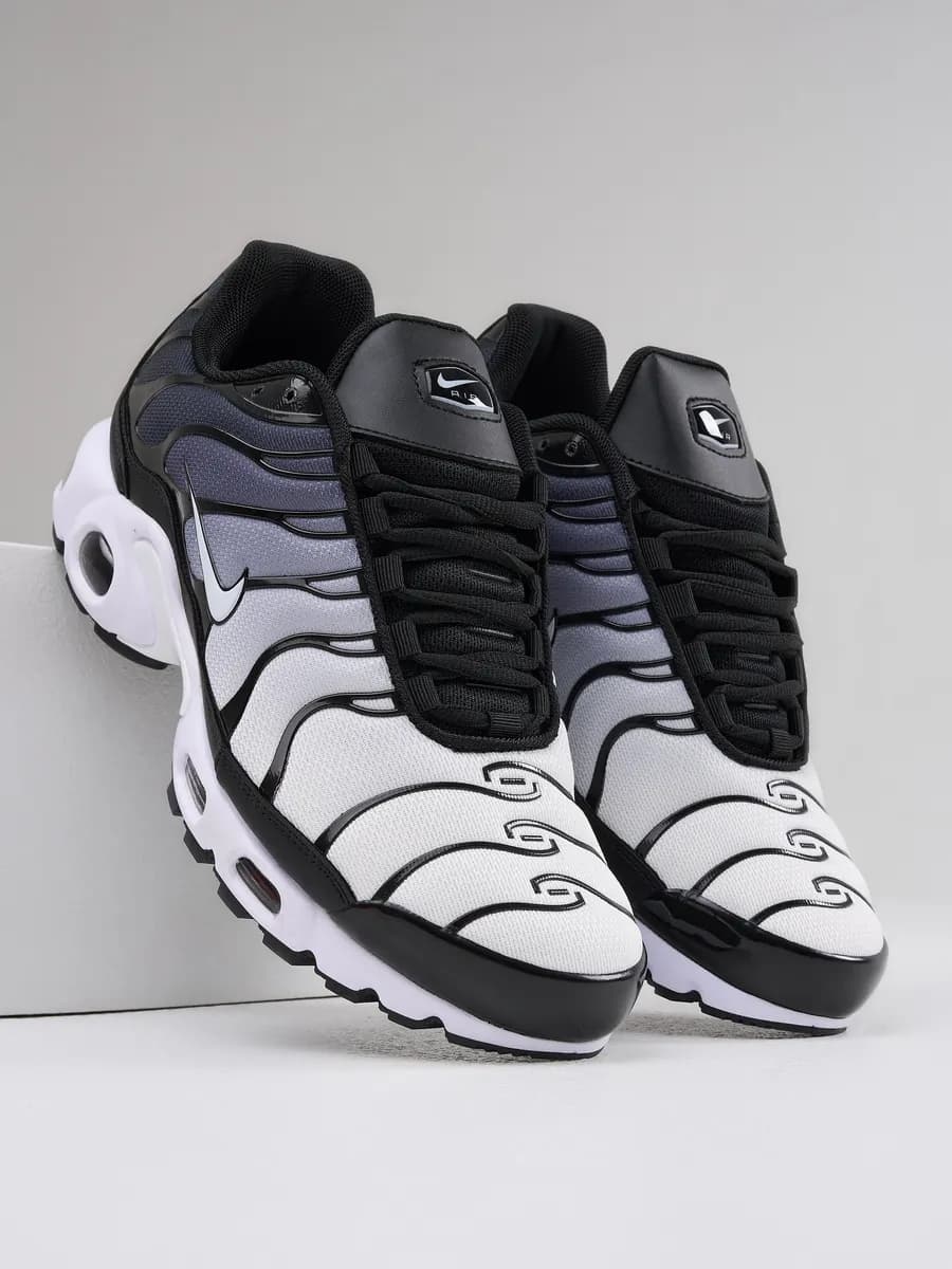 Кроссовки мужские Air Max TN Plus