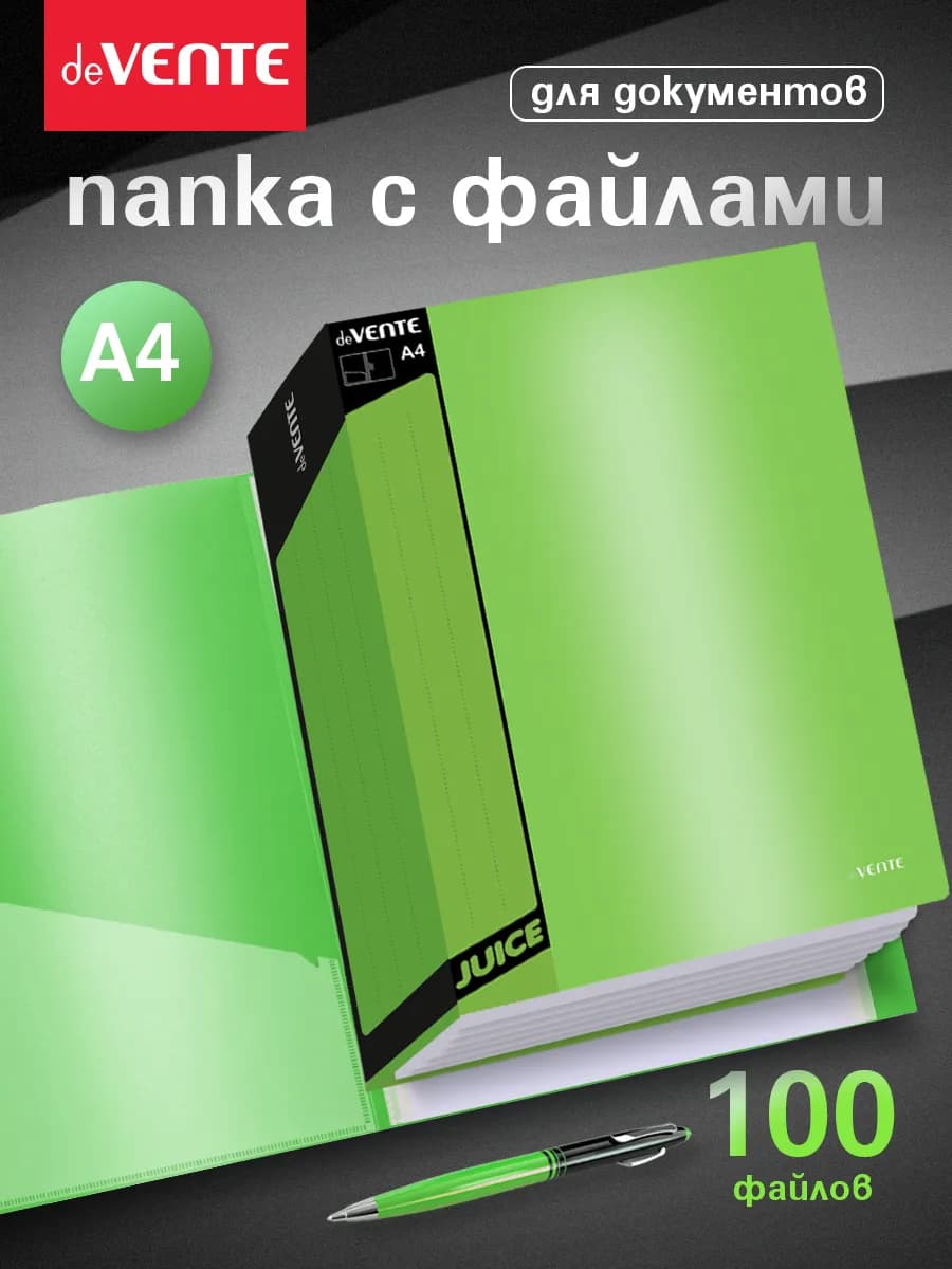 Папка с файлами A4 100 вкладышей органайзер для документов