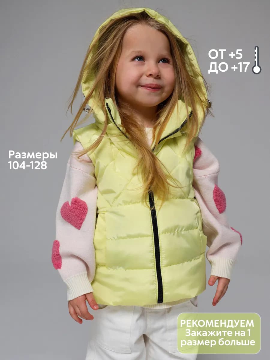 Жилет осенний утепленная безрукавка детская с капюшоном