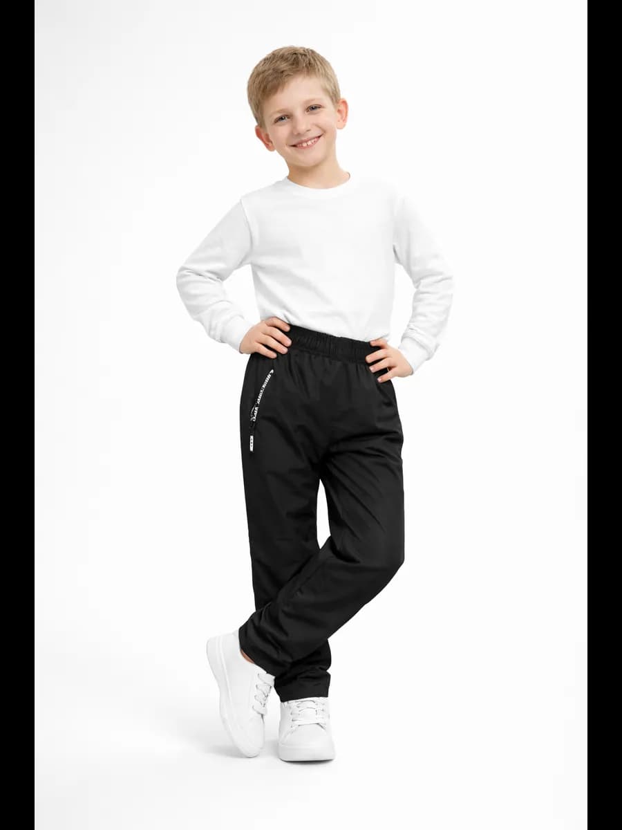 Штаны демисезонные ВС