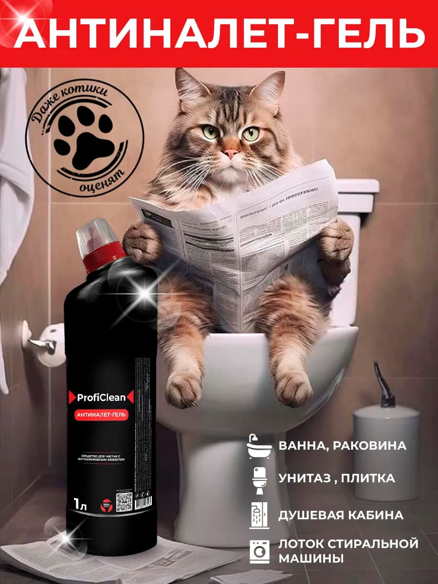 Профессиональный гель от налета, ржавчины и камня, 1л