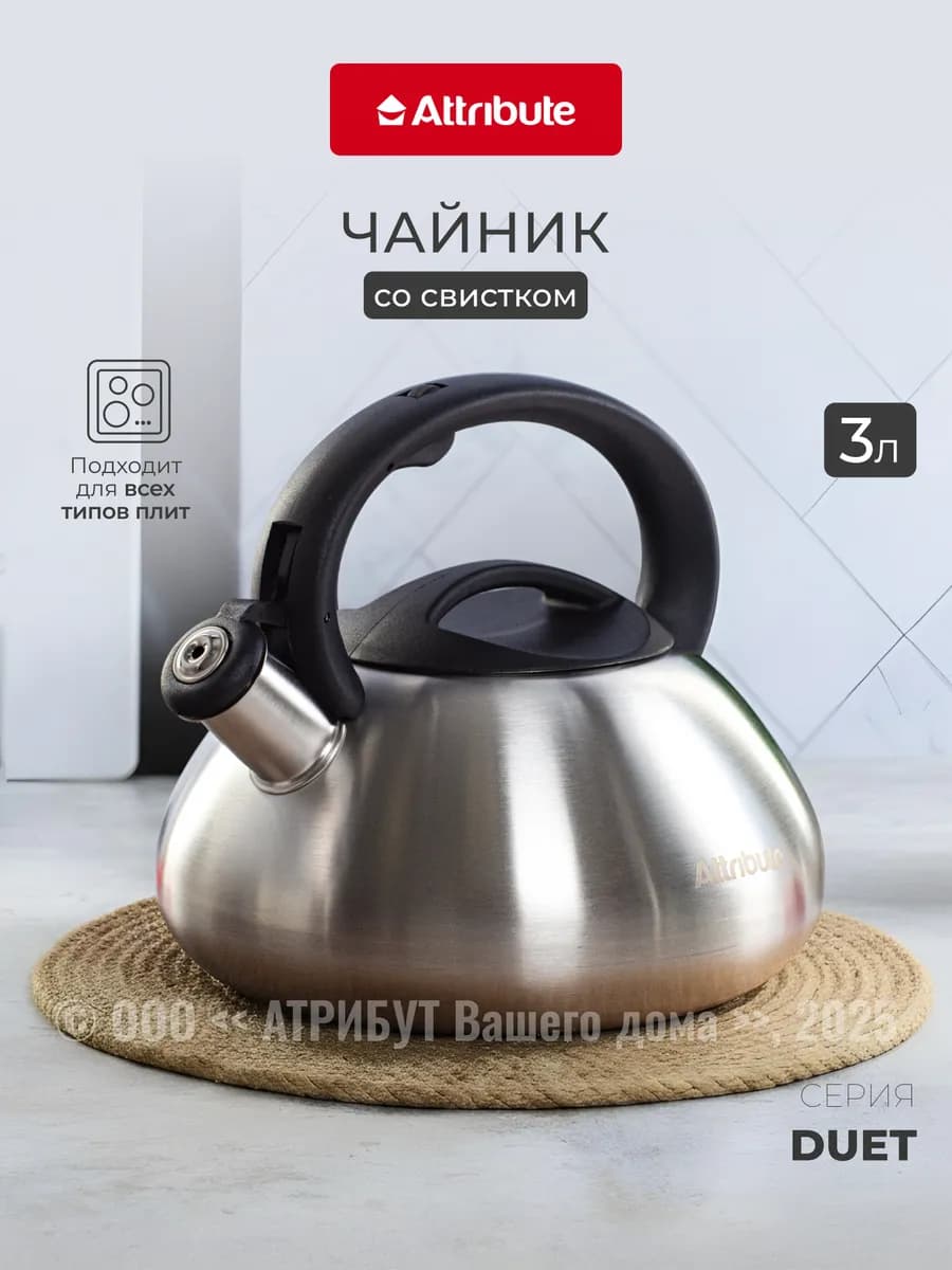 Чайник со свистком для плиты Duet 3л