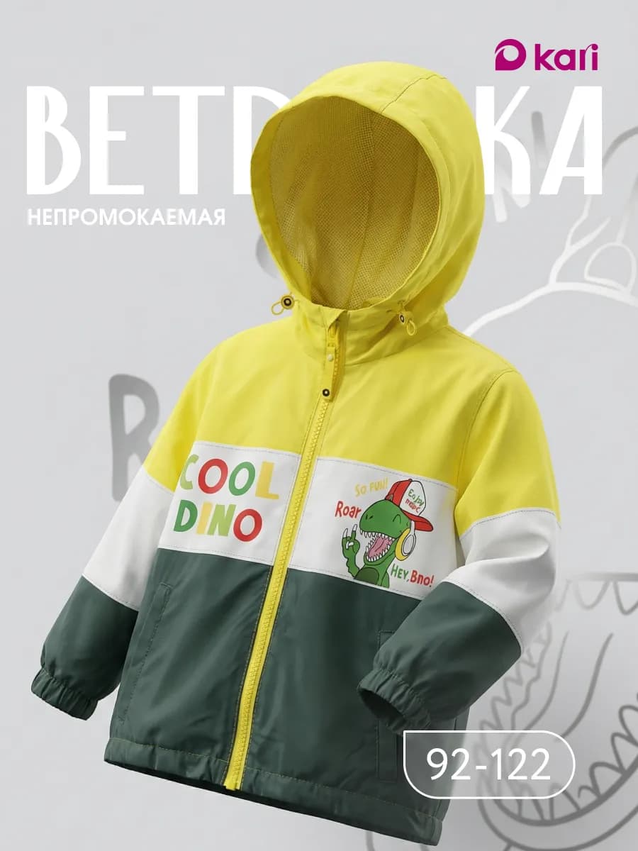 Ветровка для мальчика утепленная на флисе с капюшоном