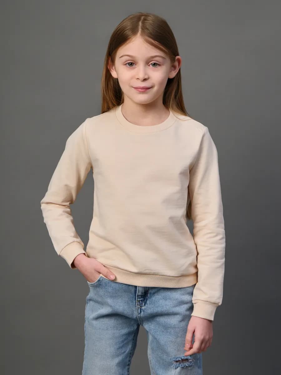 Толстовка свитшот без начеса