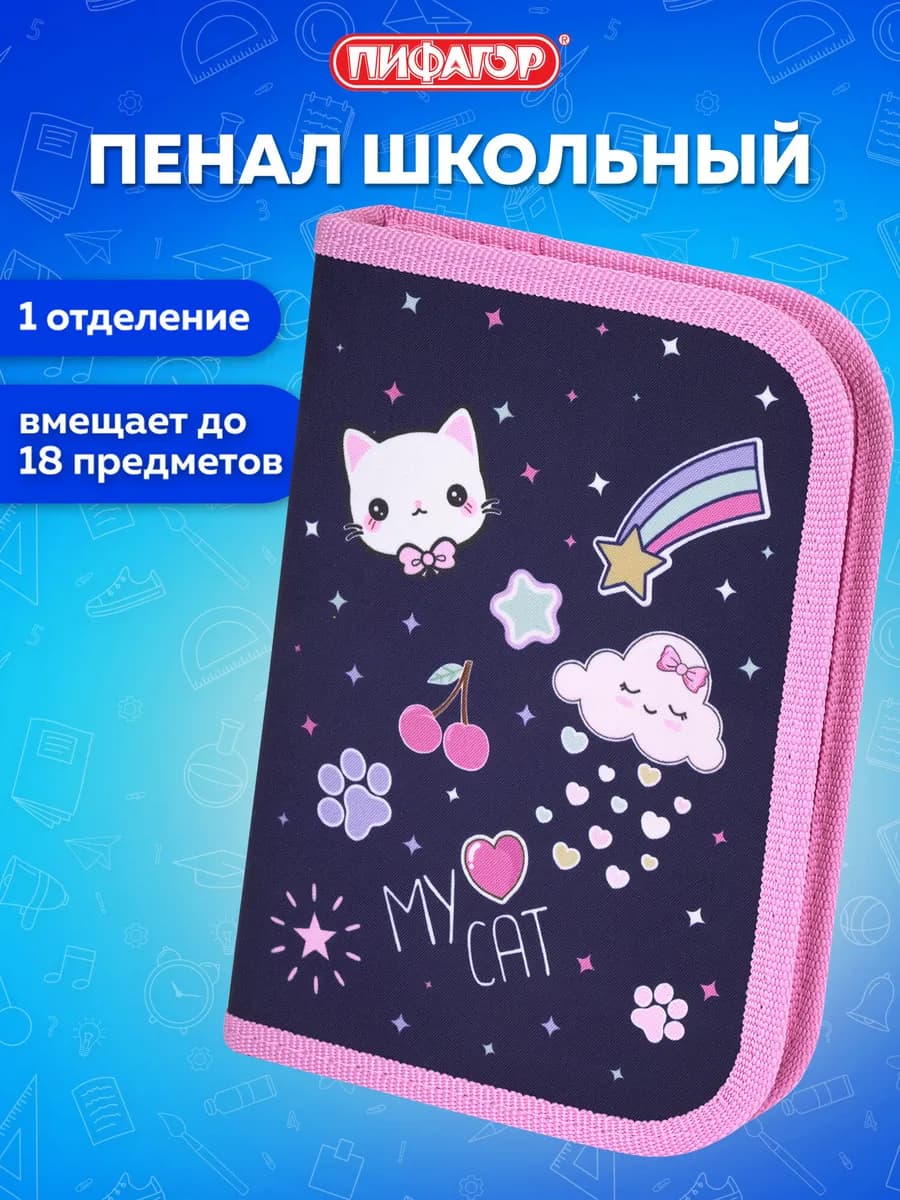 Пенал школьный для девочек для карандашей, ручек 1 отделение