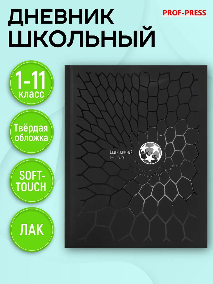 Дневник школьный для мальчика 1-4 и 5-11 класс