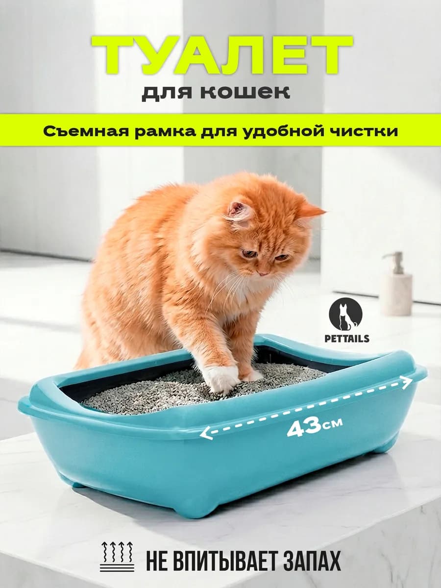 Лоток для кошек большой с высокими бортами 43х30х12см