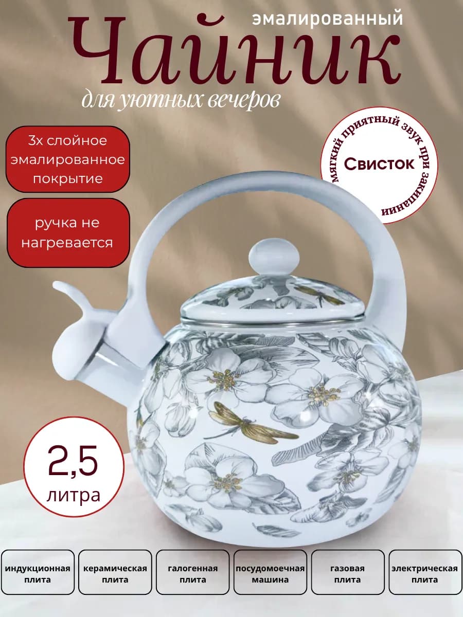 Чайник для плиты эмаль 2 5л