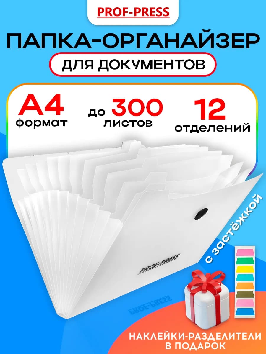 Папка-органайзер для документов А4