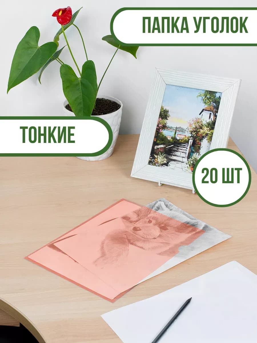 Папка-уголок пластик А4+, прозрачная, красный, эконом,20 шт