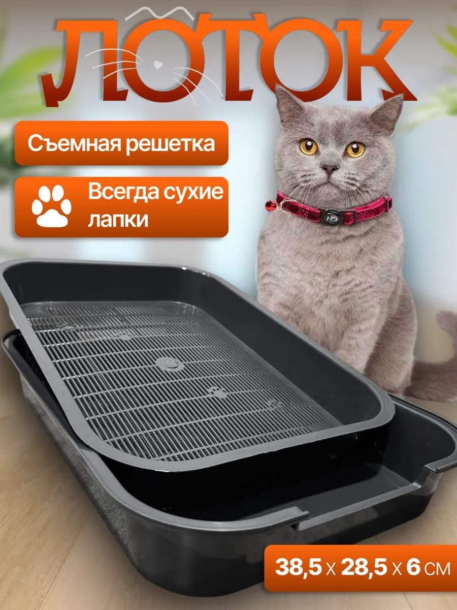 Лоток для кошек