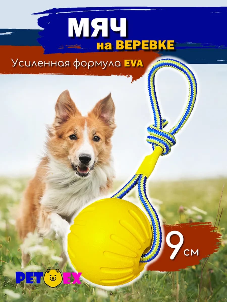 Мяч для собак на веревке 9 см