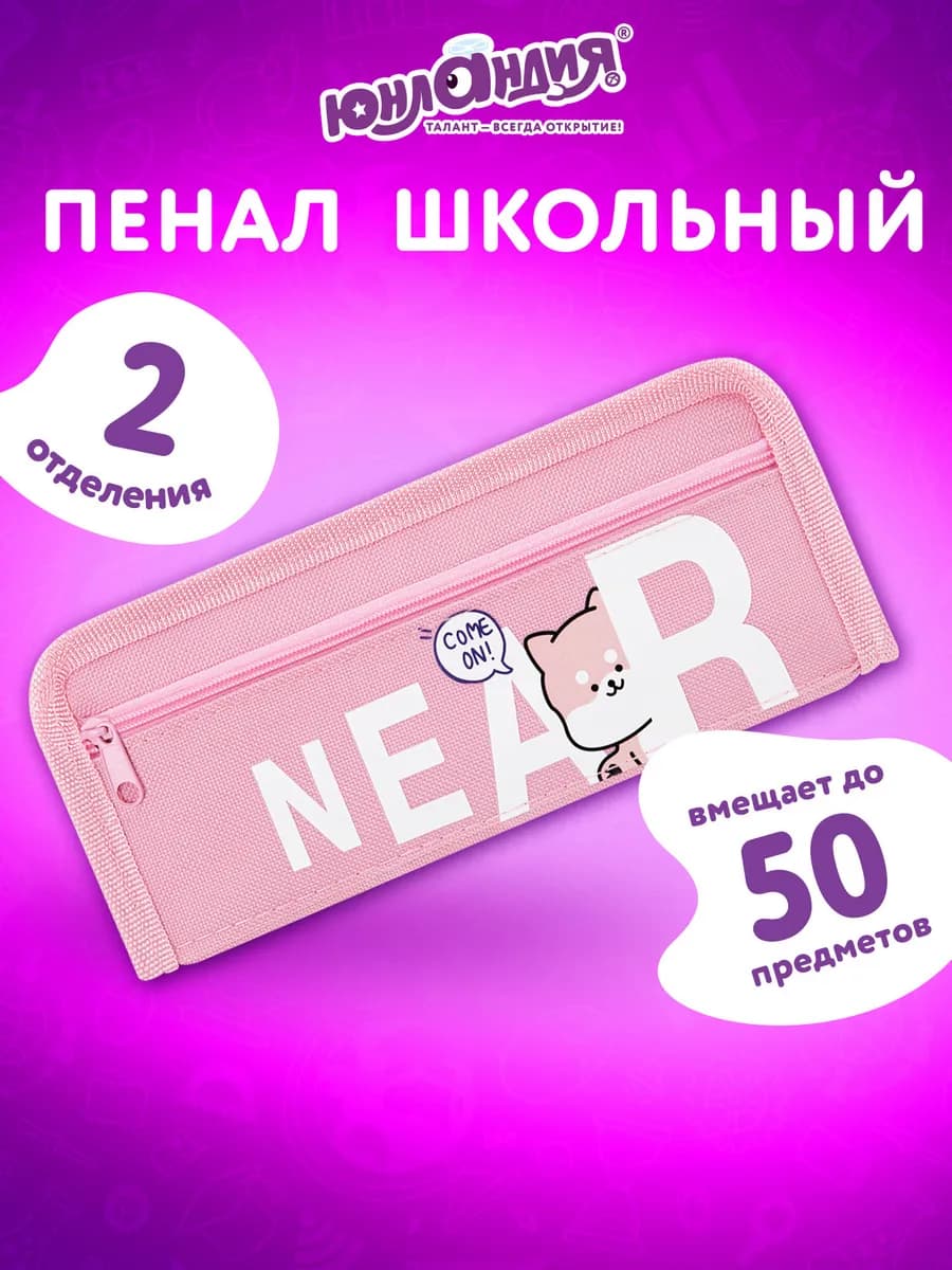 Пенал школьный для девочек для карандашей, ручек 2 отделения