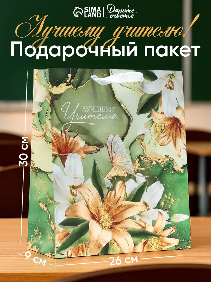 Подарочный пакет для подарка учителю