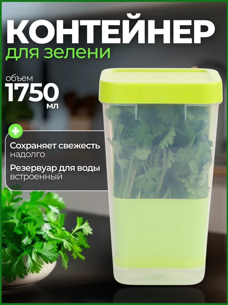 Контейнер для хранения зелени в холодильнике