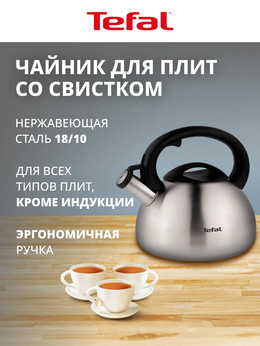 Чайник для плиты C7921024 из нержавеющей стали, со свистком