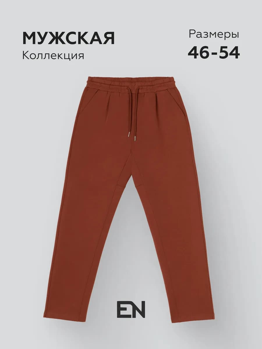 Брюки спортивные мужские прямые без манжета без начеса