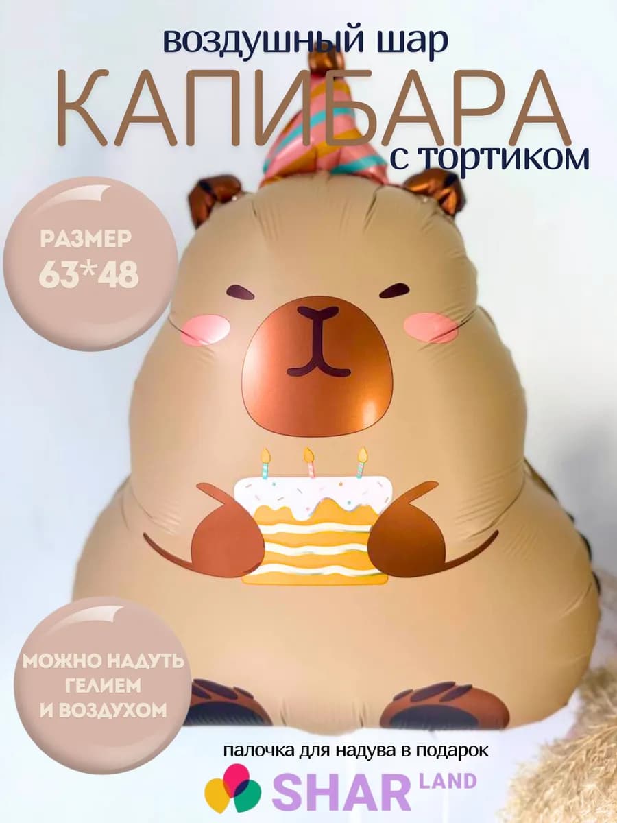 Воздушный шар Капибара с тортом