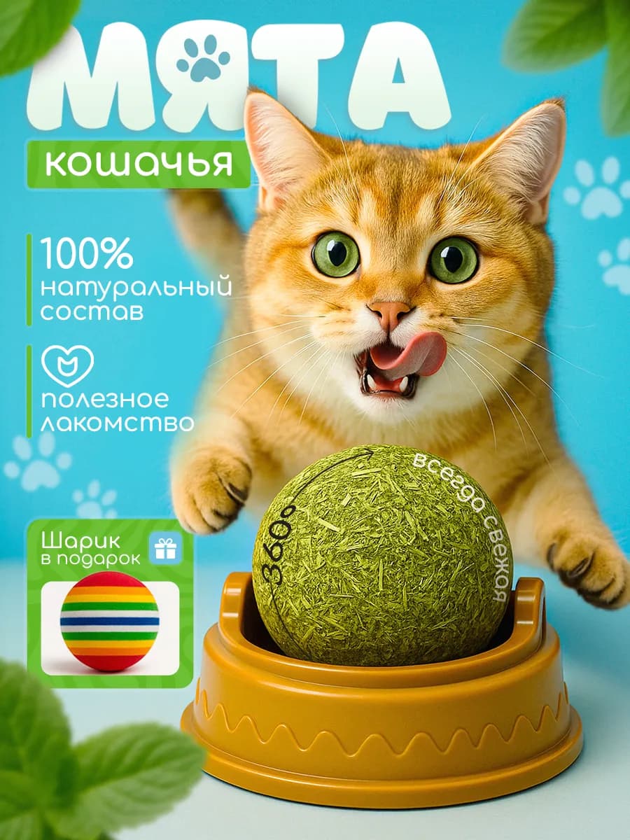 Кошачья мята