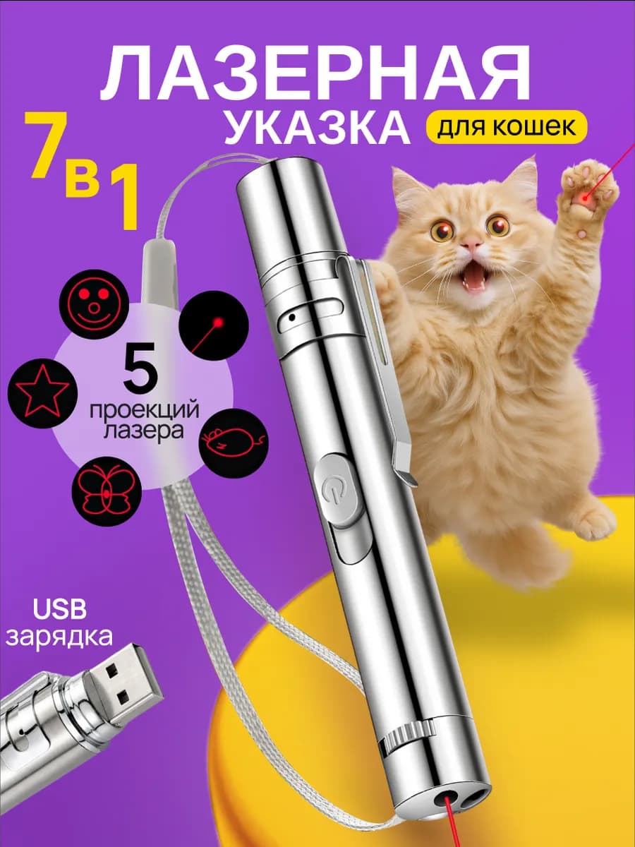 Лазерная указка