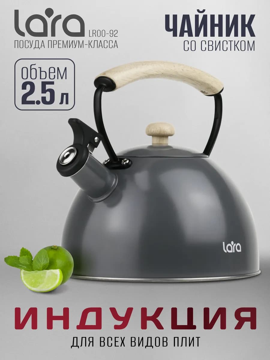 Чайник для плиты со свистком темно-серый 2,5 л LR00-92