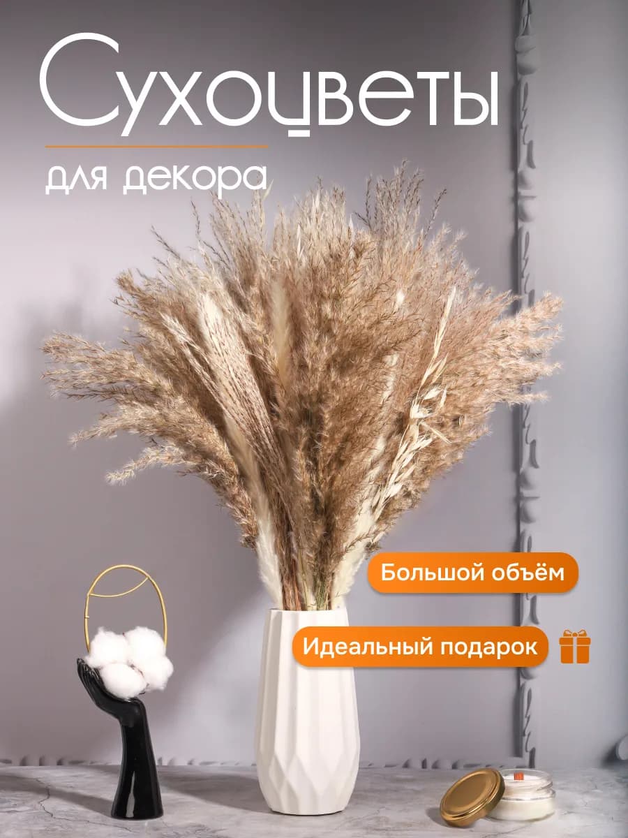 Сухоцветы для декора букет натуральные сухие