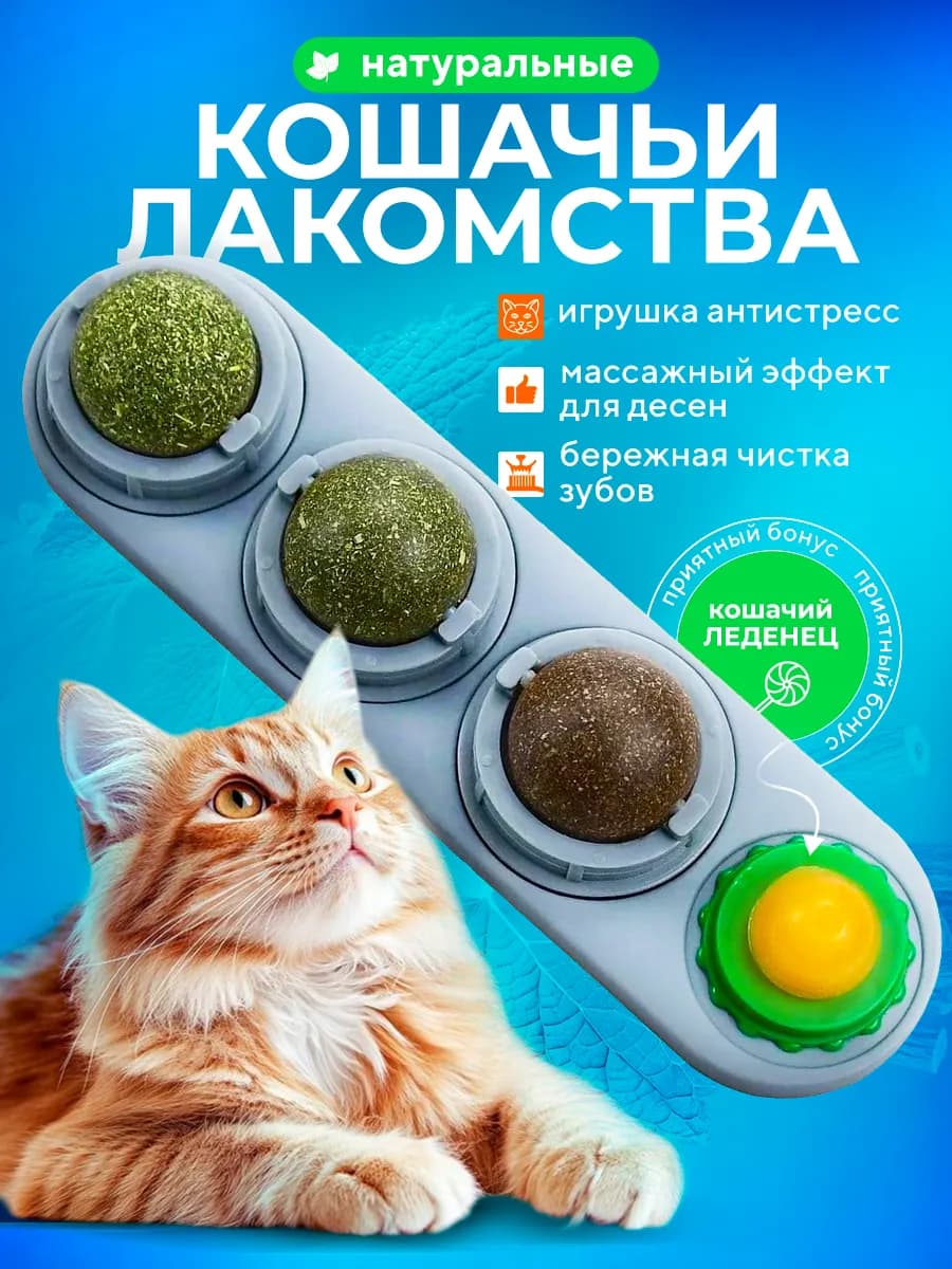 Набор лакомств для кошек с мятой